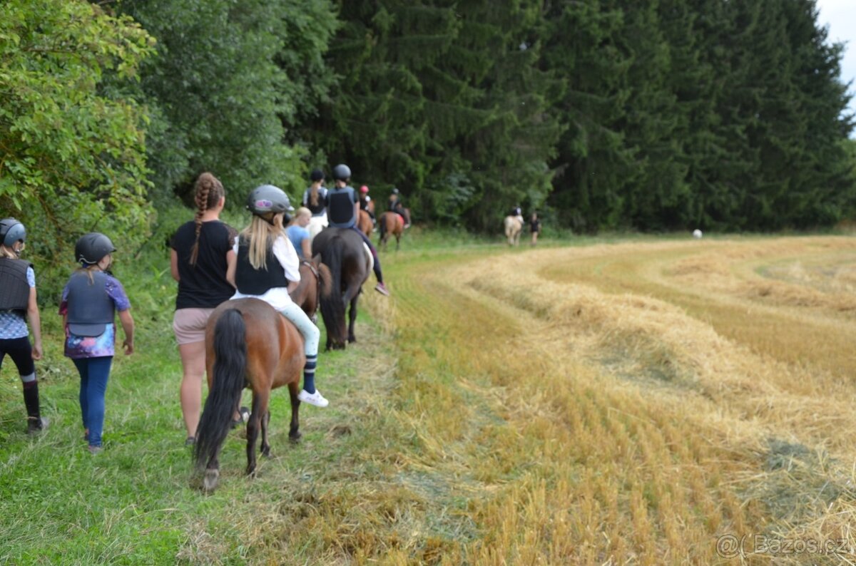 Letní jezdecké pobyty - 10