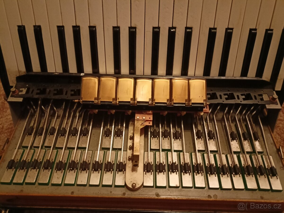 Akordeon LIGNATONE a Delicia - 10