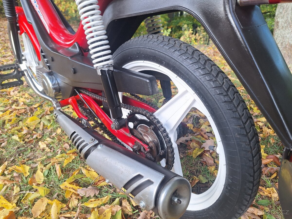 Manet korado v pěkném stavu - 10