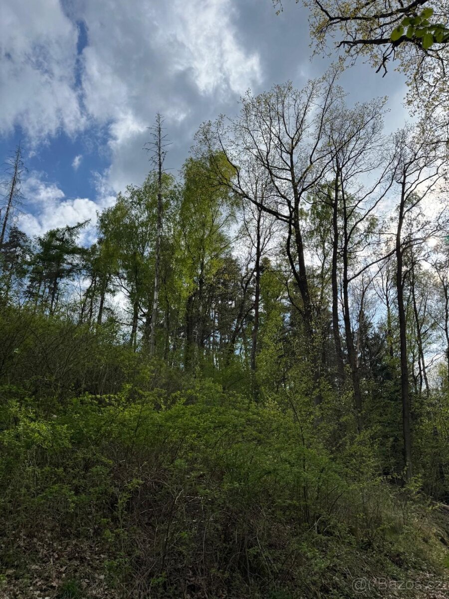 Prodám pozemky v katastrálním území Zahorčice u Vrábče - 10