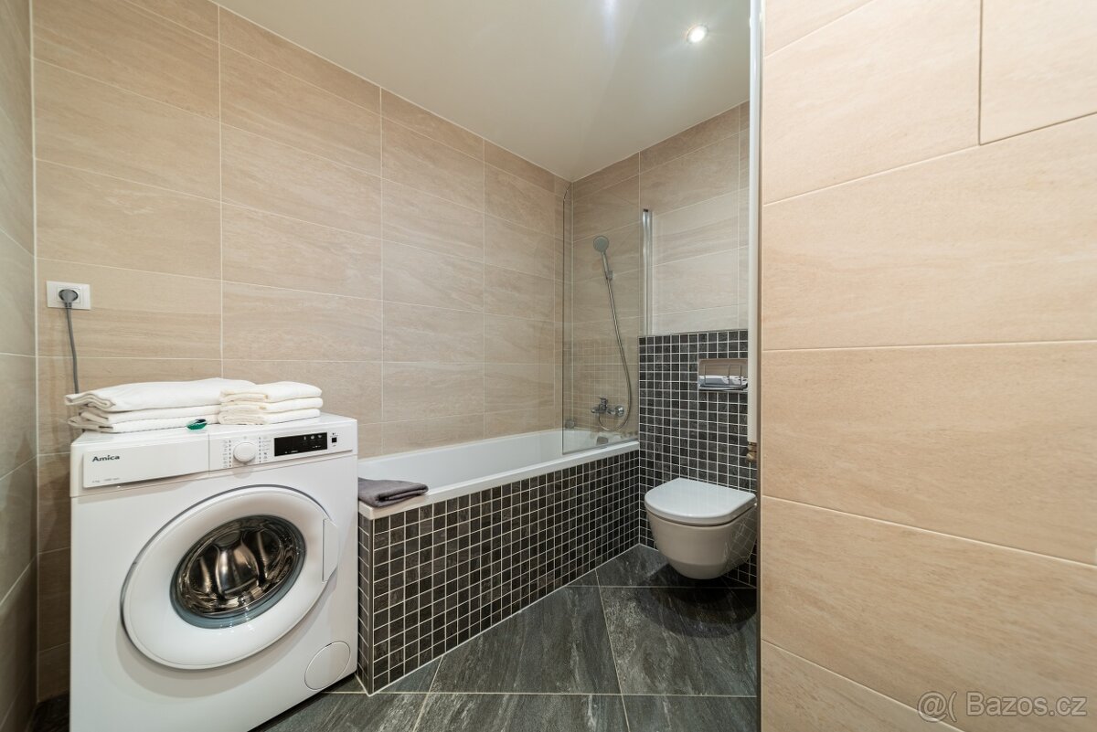 Pronájem bez zprostředkovatelů 2kk v centru Prahy 3 - 10