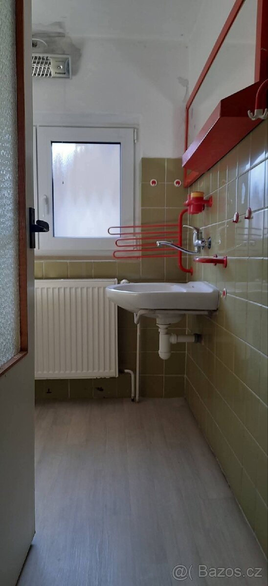 Pronajmu byt v přírodě v Hradci Králové za 10 000 kč - 10