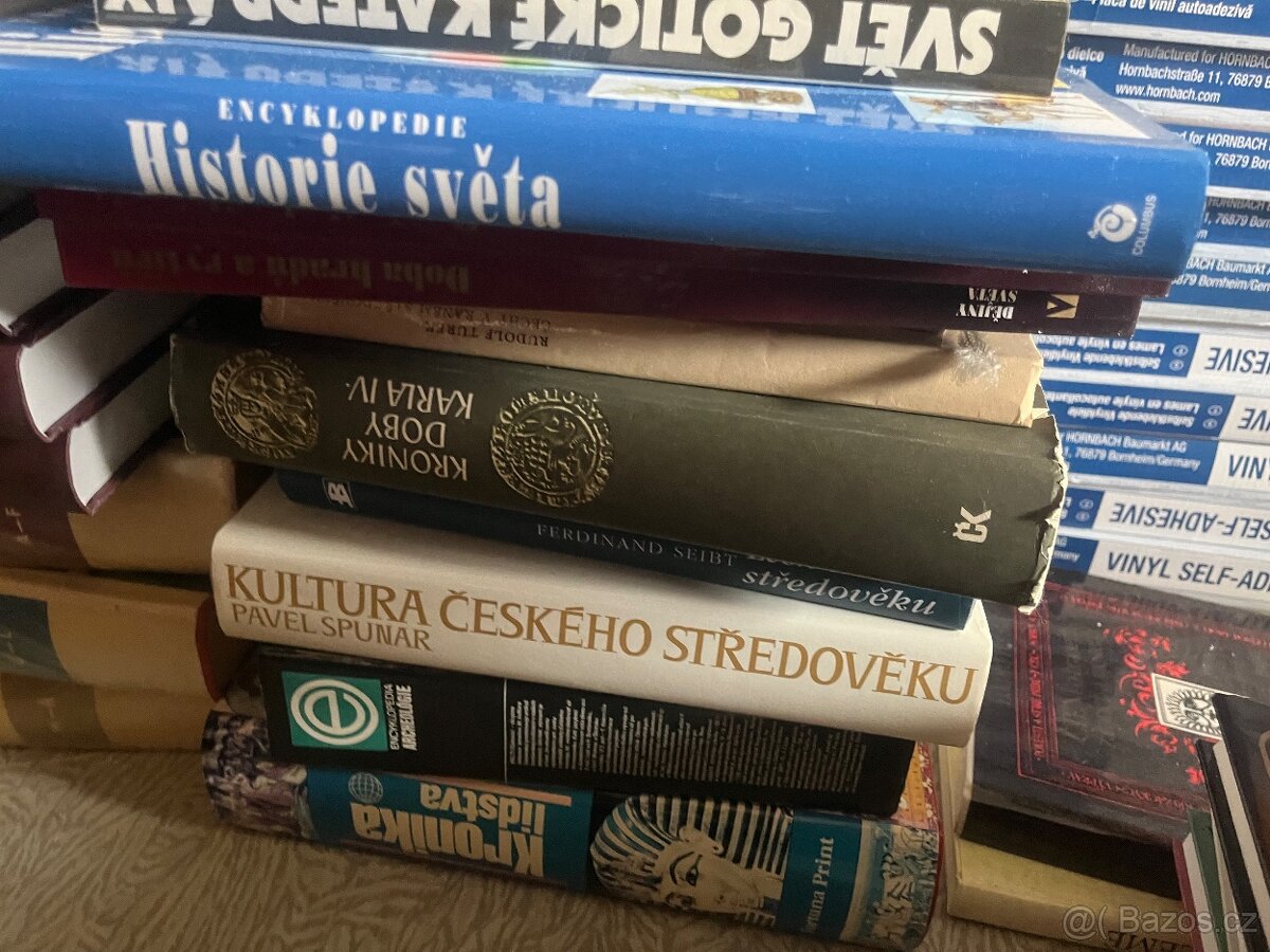 Velké množství knih - 10