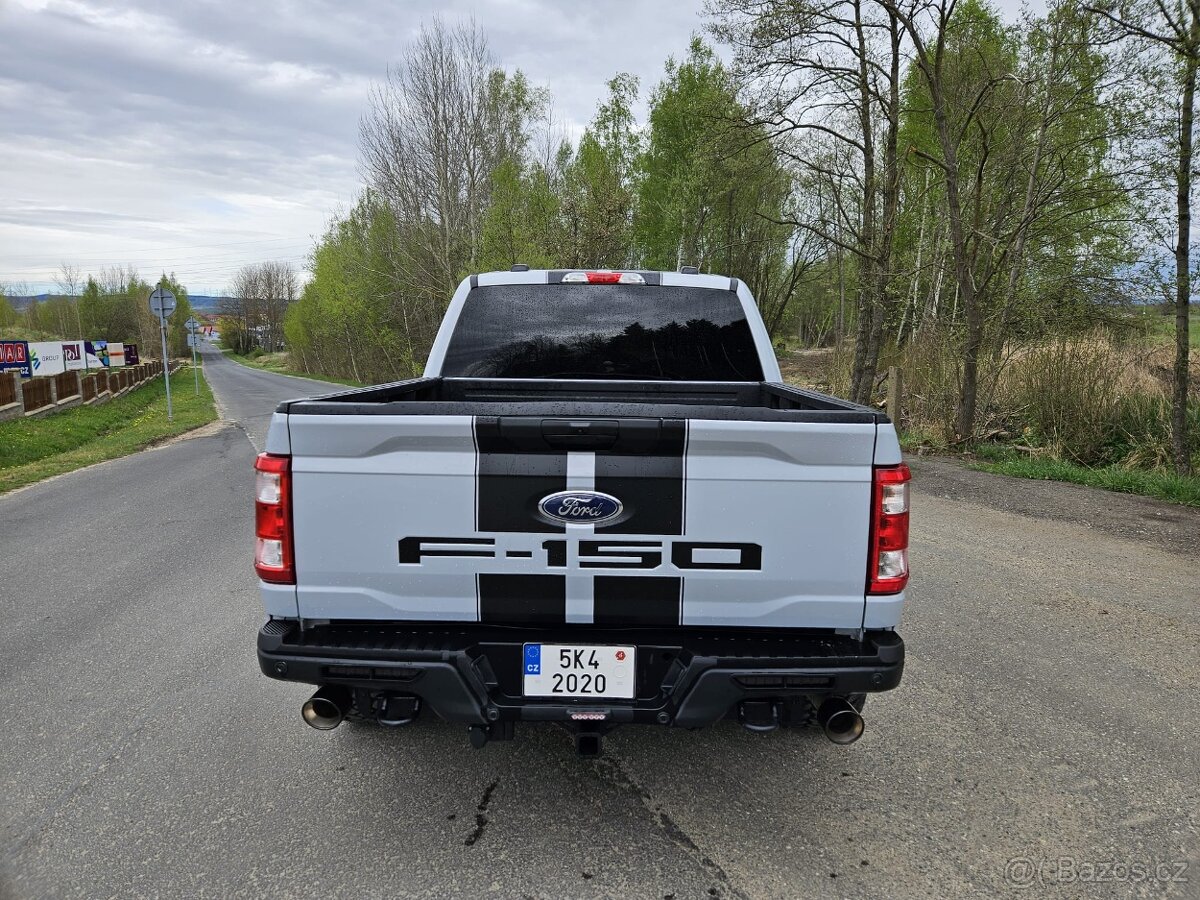Ford F 150 - 10