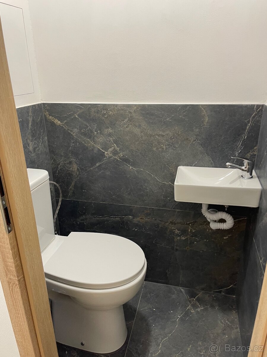 Dobrý den pronajmu byt 3+1 - 10