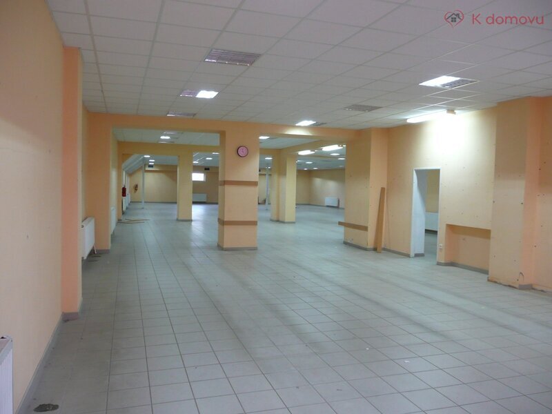 Prodej obchodního prostoru, 980 m2, Veselí nad Moravou - 10