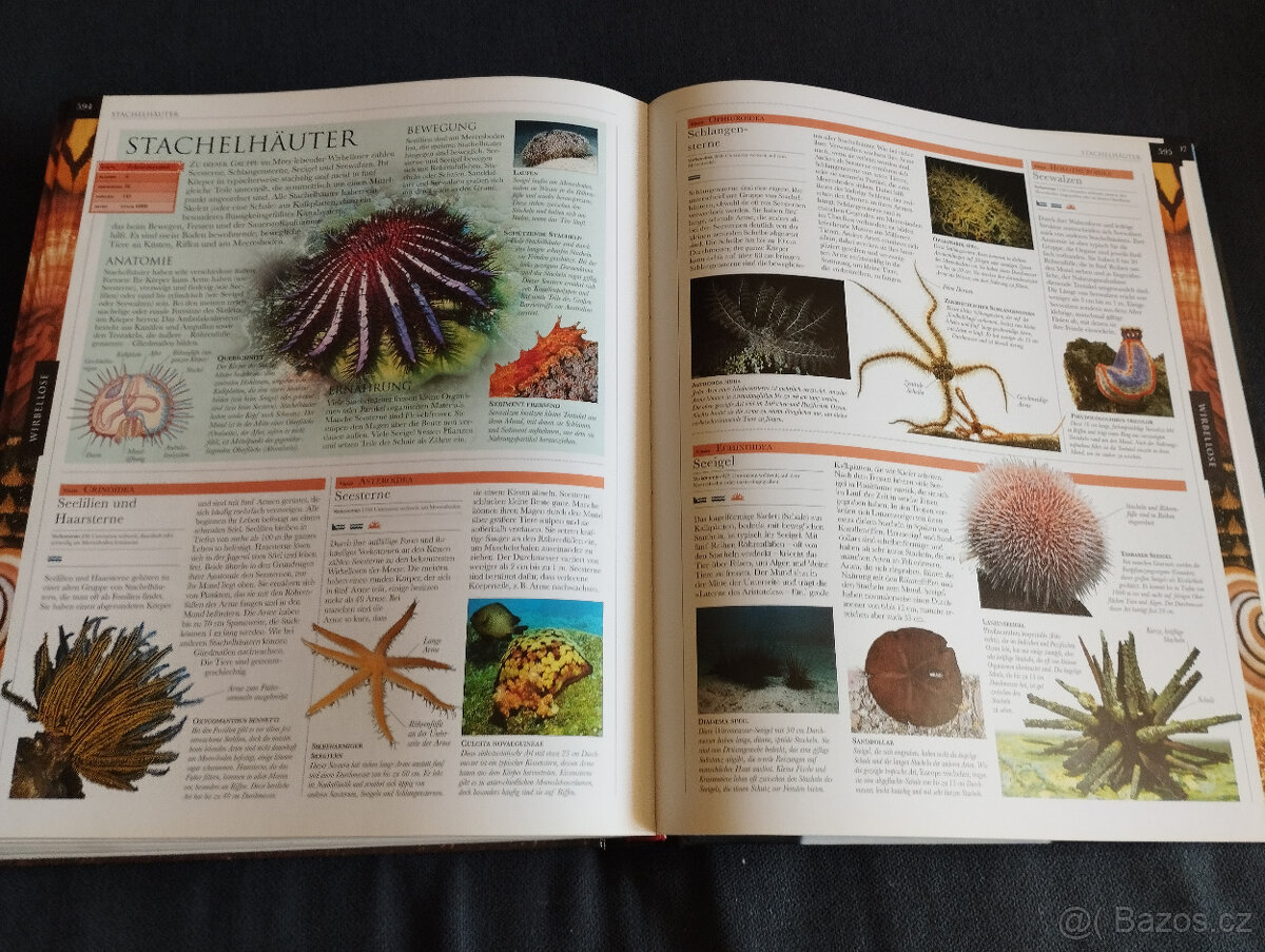 Tiere - kniha - 10