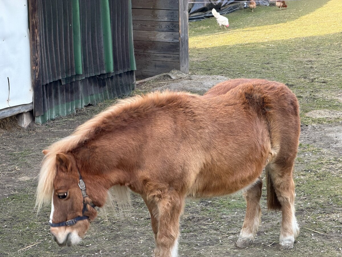 Prodej Kobylky - 10