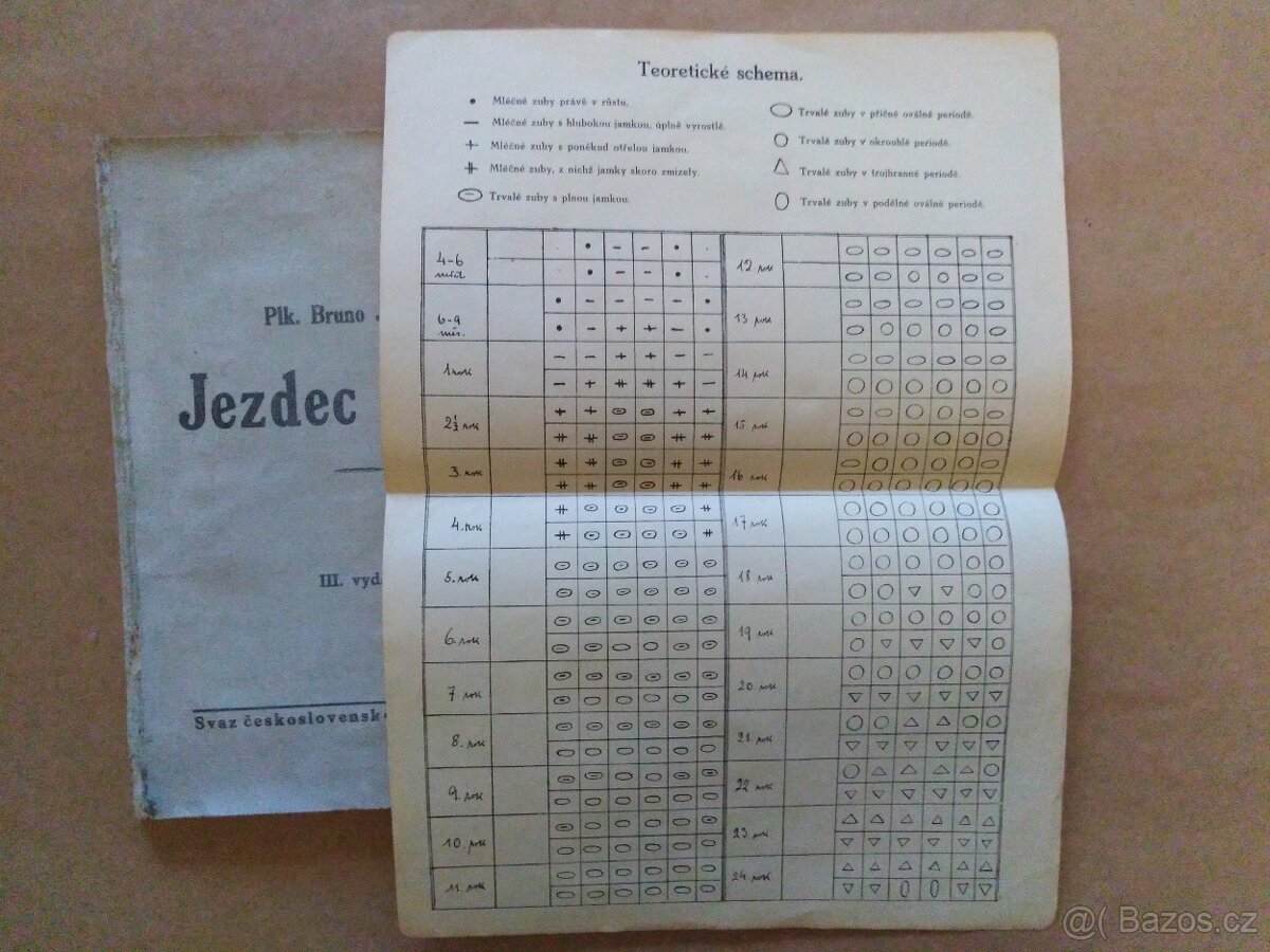 Jezdec a kůň - Bruno Jaksch (1937) - 10