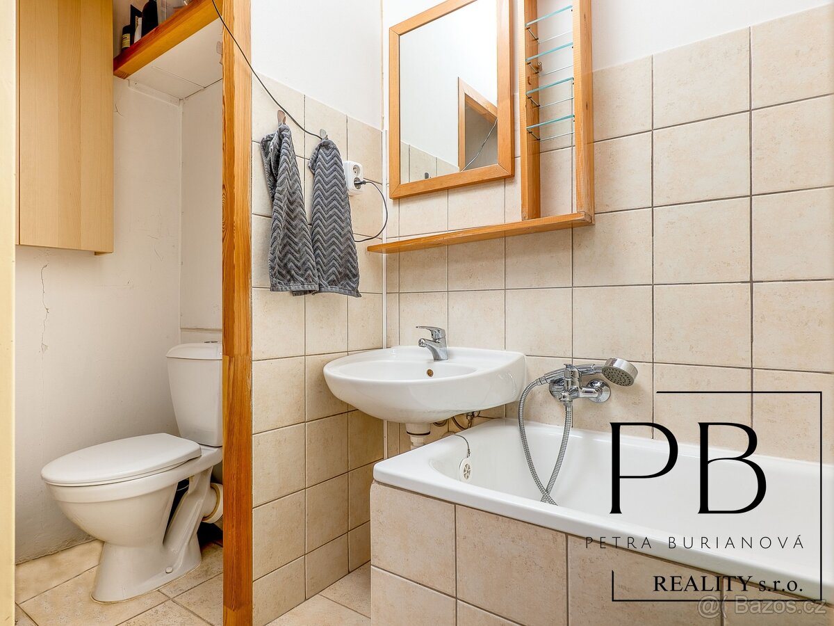 Družstevní byt 2+1 ve Strašnicích s výhledem do zeleně - 10