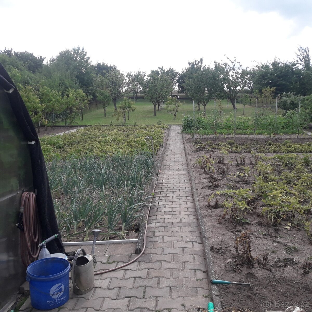 Prodej RD v Rousínově, užitná plocha 230m2, pozemek 1980m2 - 10