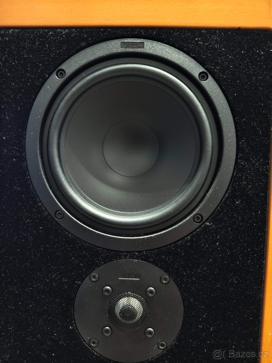 Canton Ergo RC-L včetně Control Unit - 10