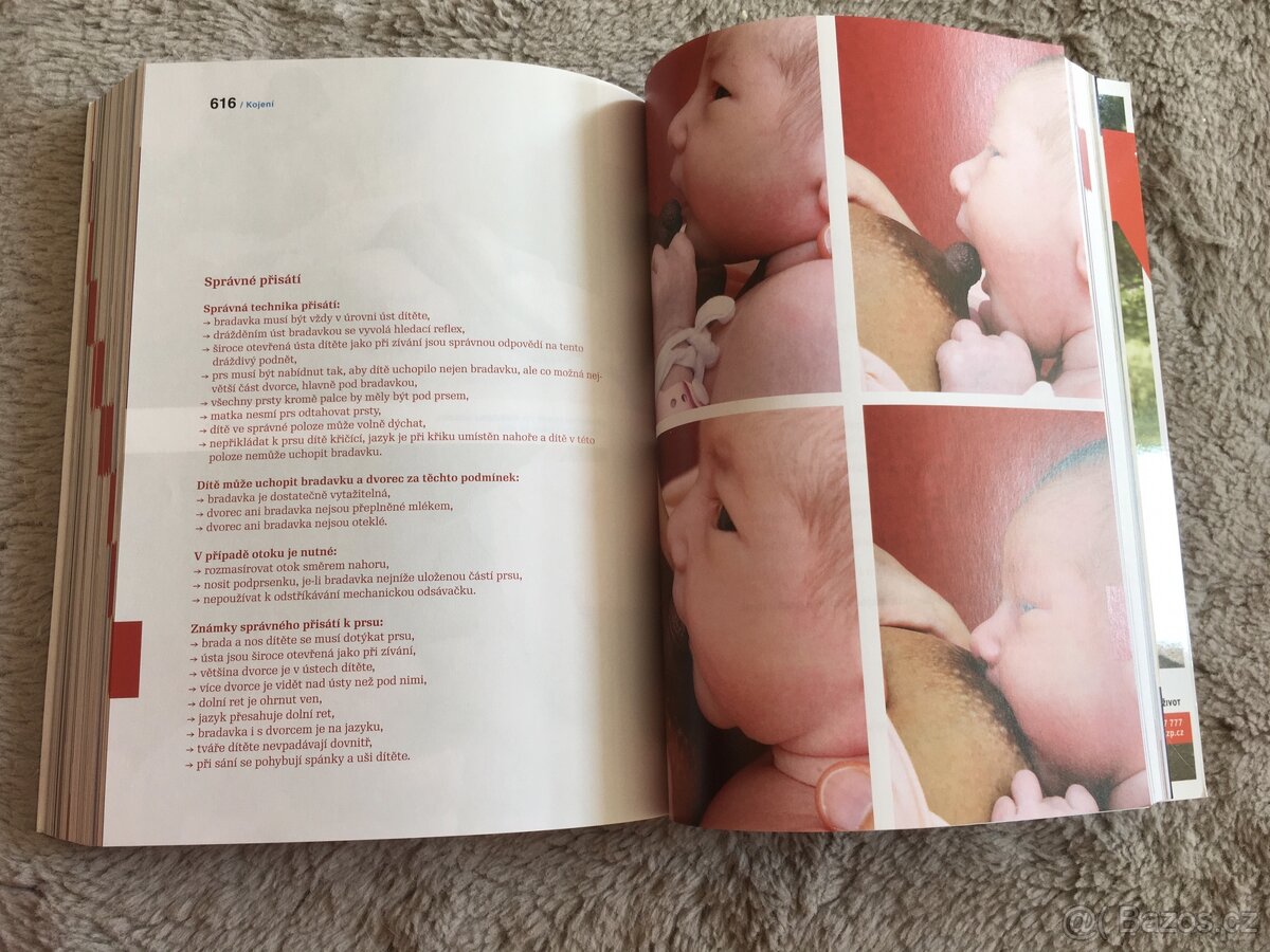 Kniha o těhotenství a dítěti /Antonín Pařízek/ - 10