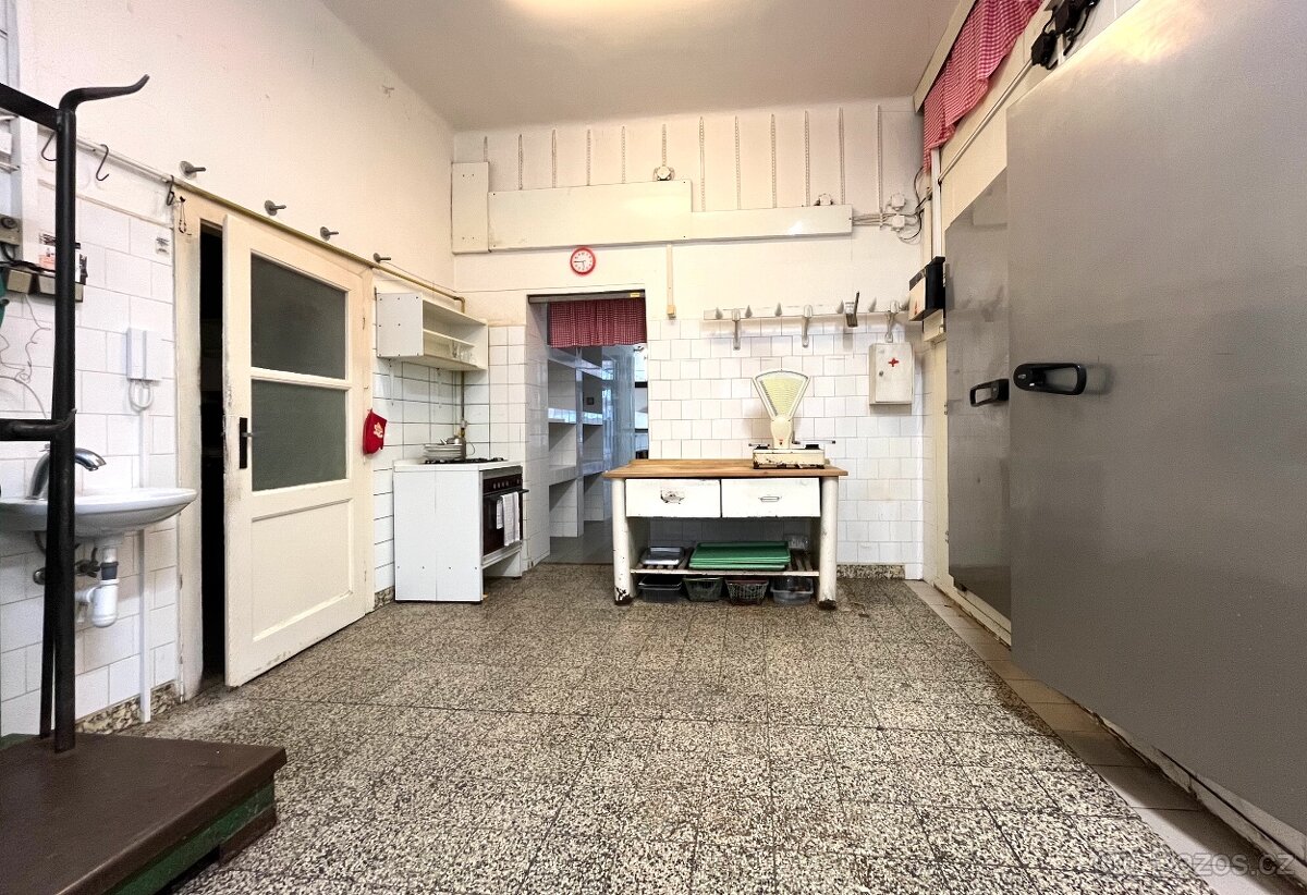 Obchodní prostor Gorkého - 10