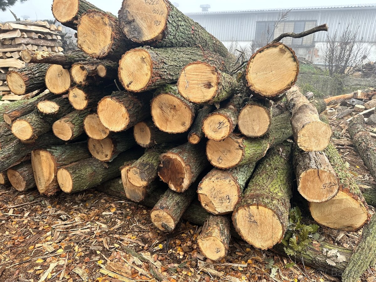 Palivové dřevo tvrdé,měkké,štípané - 10