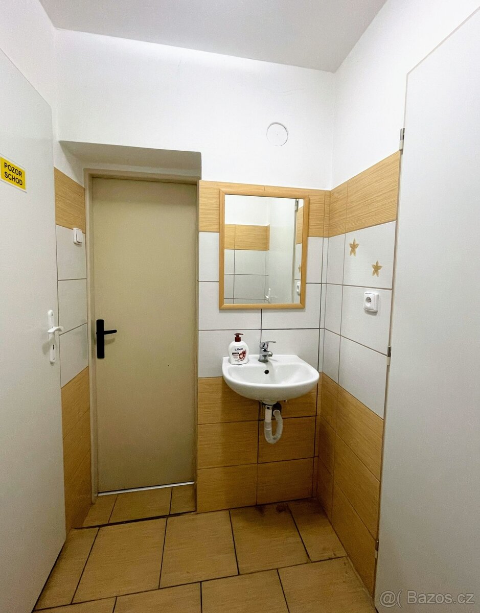 Pronájem komerčních prostor v České Lípě - 10