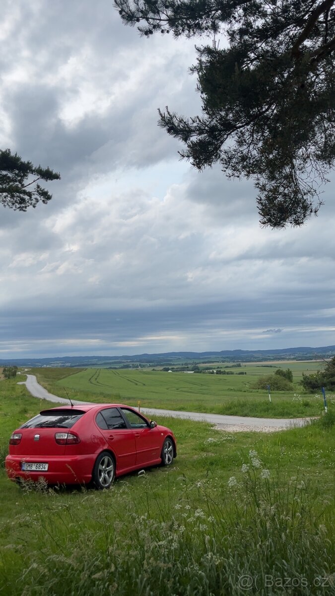 Seat Leon 1.9tdi ARL - 10