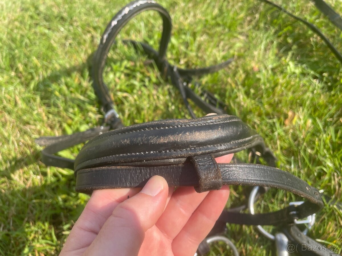 Drezurní uzdečka - 10