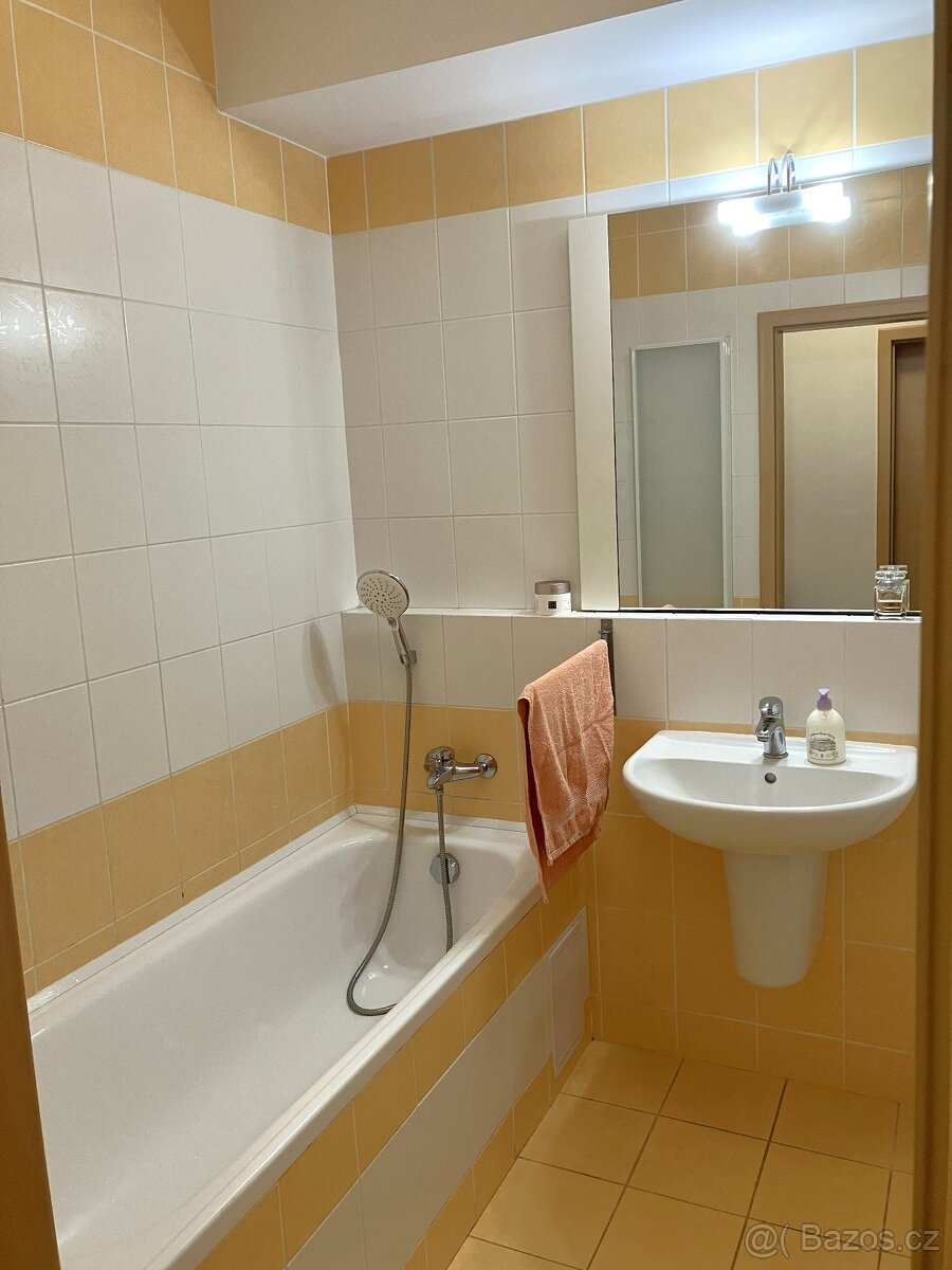 Rakovník - byt 3+kk - 10