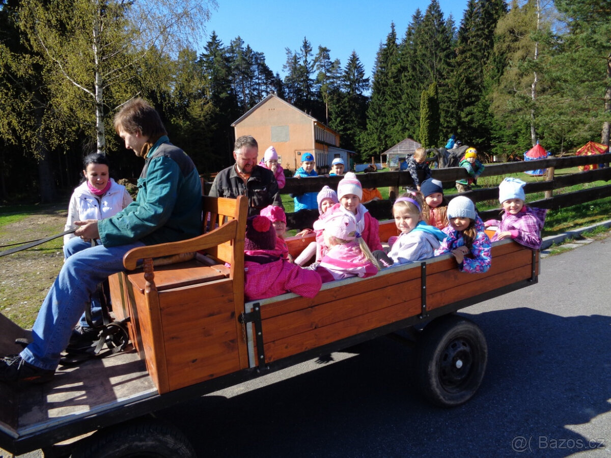 SÁNĚ A VŮZ ZA KONĚ - prodám - 10