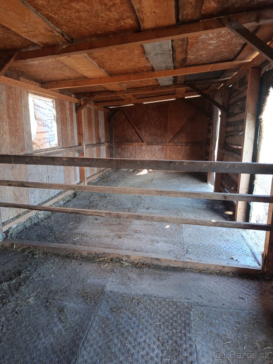 Pastevní ustájení - 10