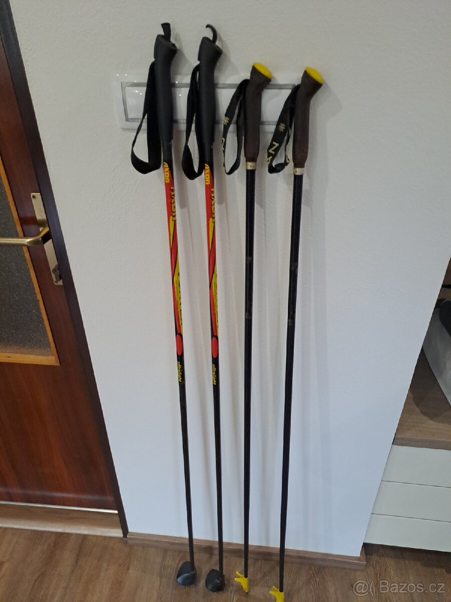 Běžecké hůlky AXON, JESAN - 10