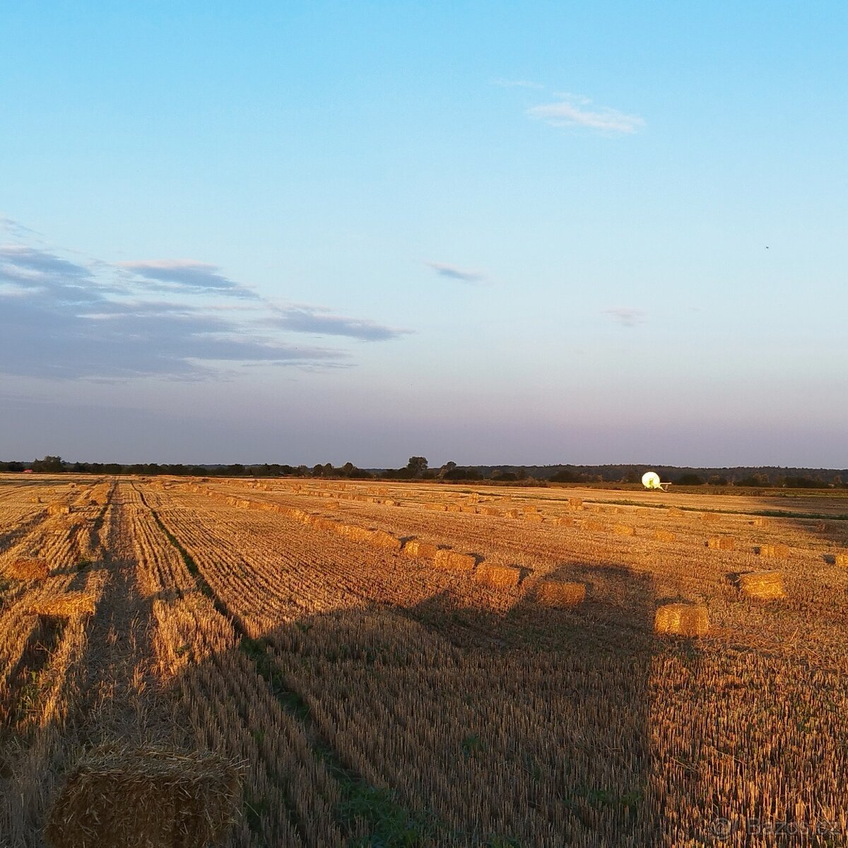 Prodám malé hranaté balíky pšeničné slamy - 10