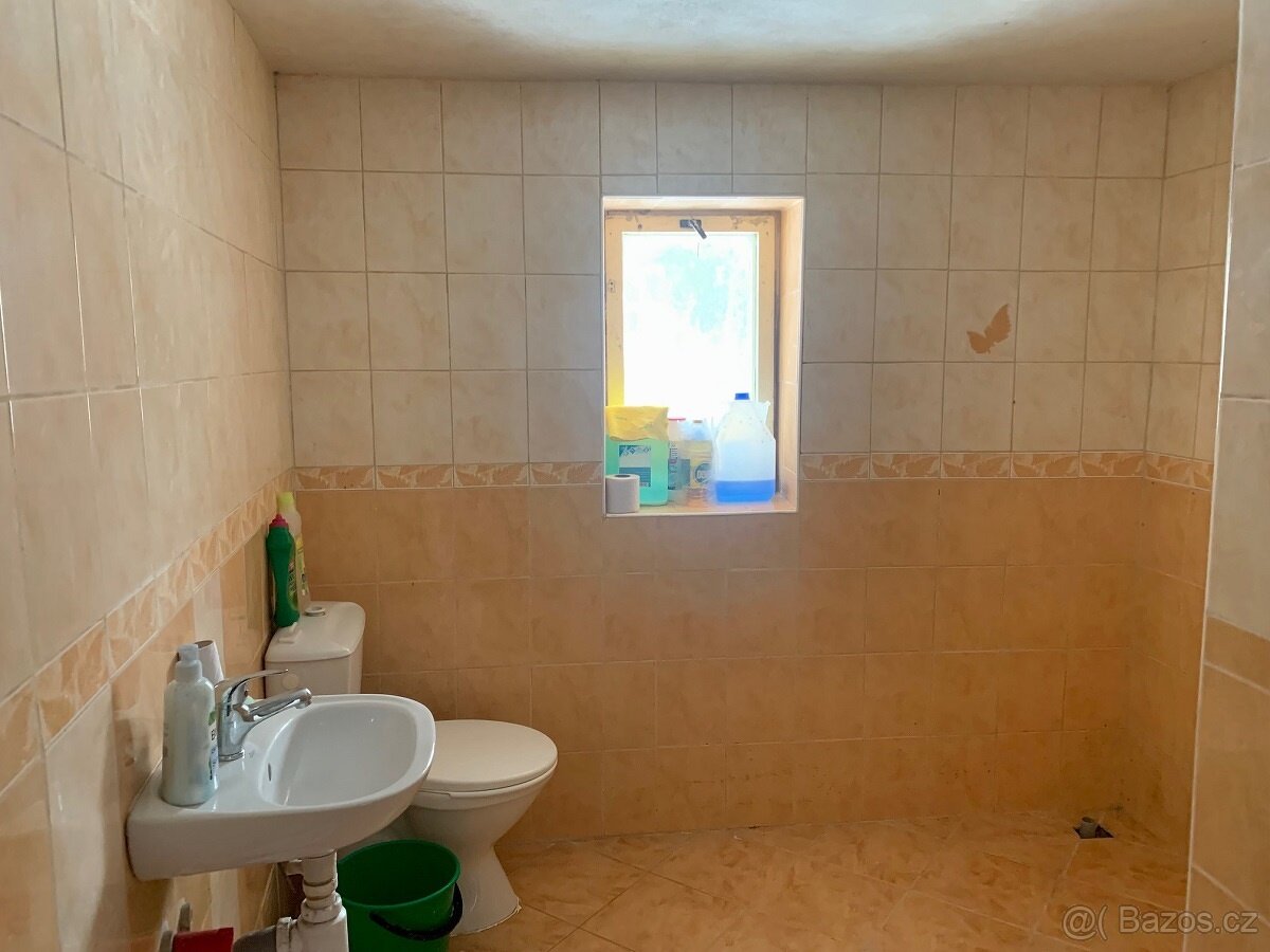 Prodej bývalého mlýna u Malše - 10