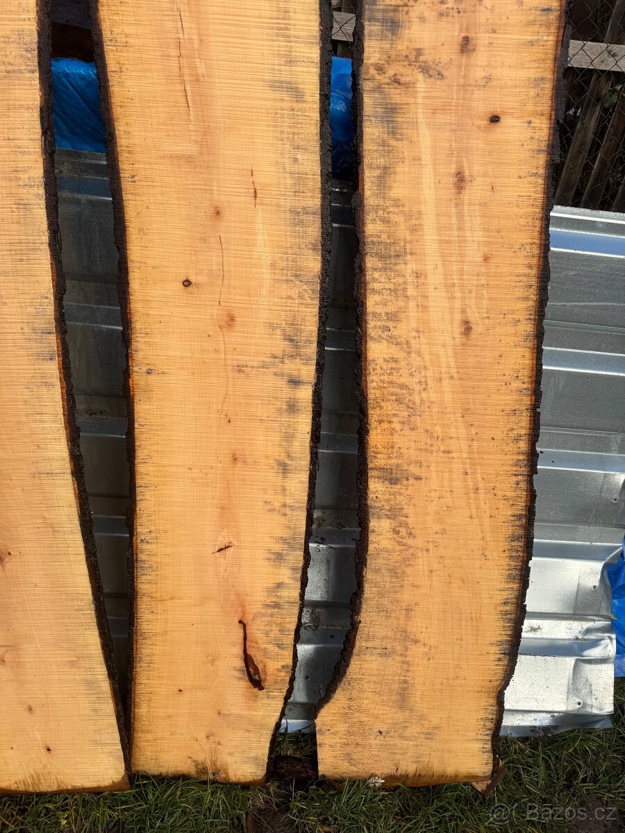 Kaštanové fošny - 10