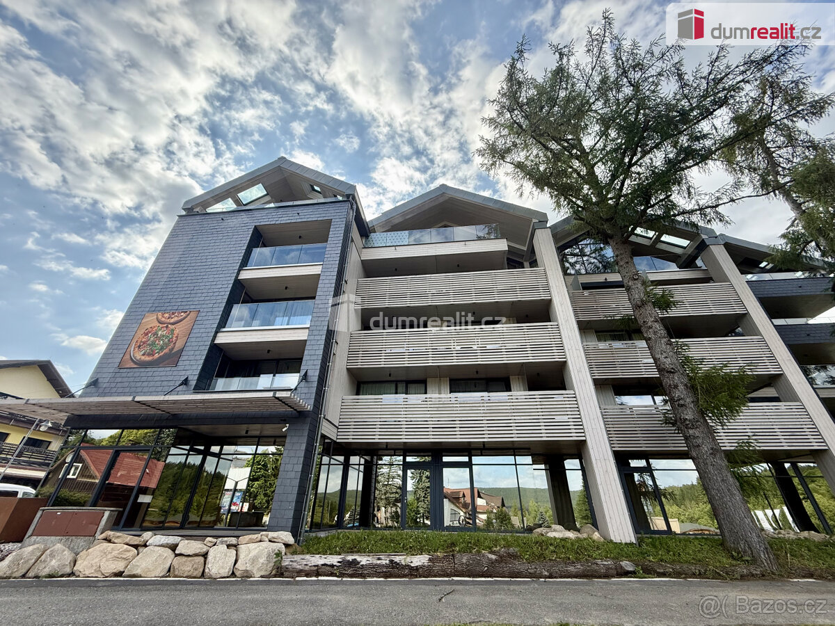 pronájem komerčního prostoru, 45m2 + terasa, Harrachov - 10