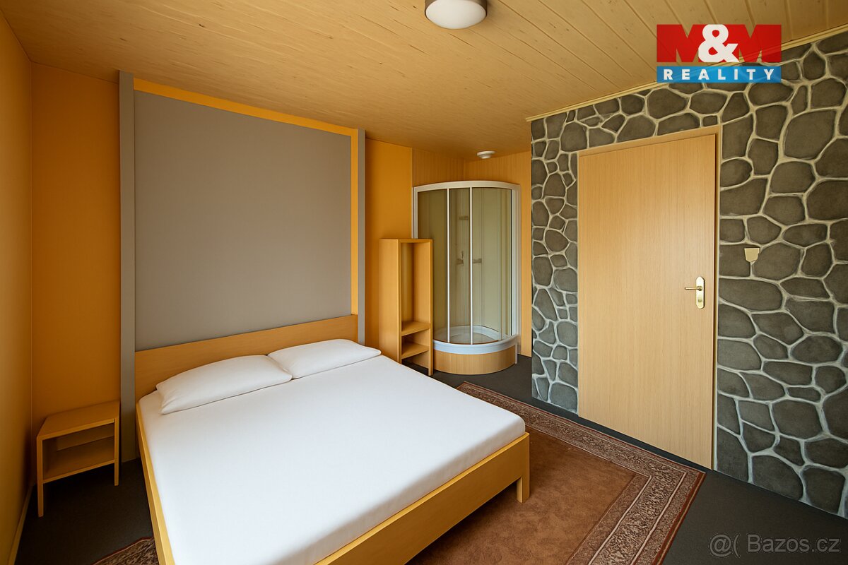 Prodej rodinného domu, 650 m², České Velenice - 10