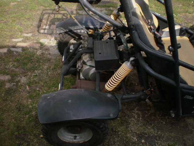buggy 110 - 10