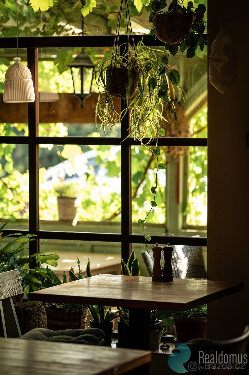 Pronájem, restaurace s ubytováním 150 m2 + 178 m2, Chvaletic - 10