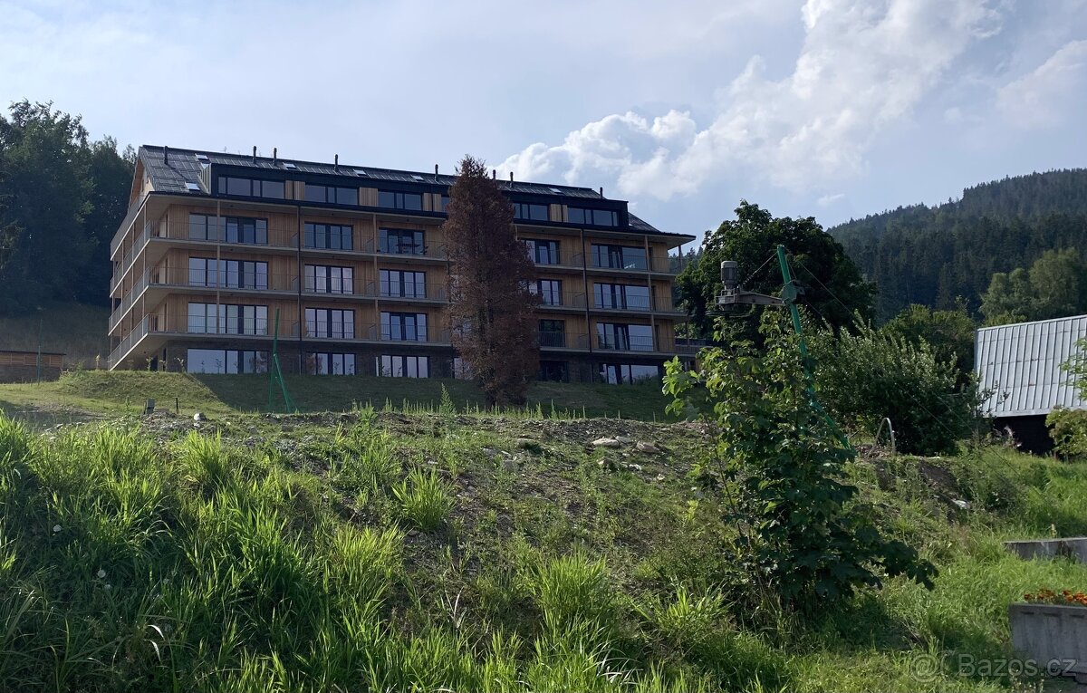 Prodej apartmánu v Janských Lázních - 10