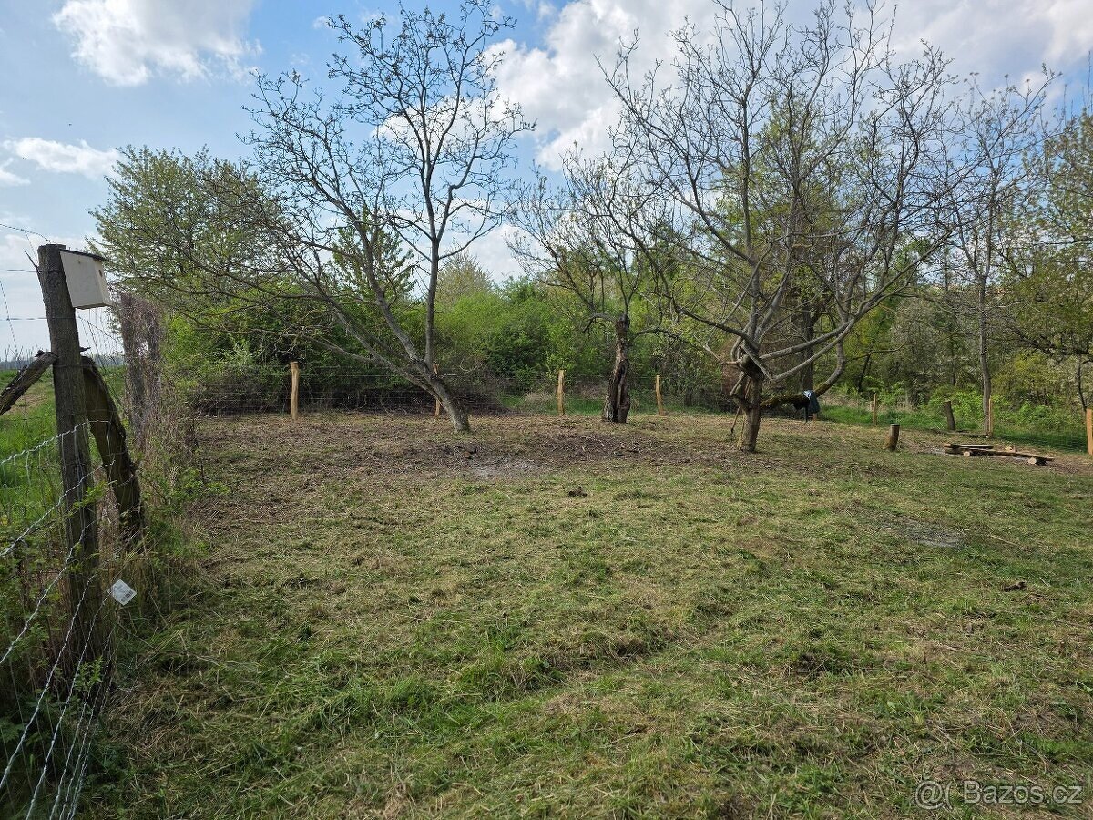 🌿 PRODEJ ZAHRADY – Újezdec u Osvětiman - 10