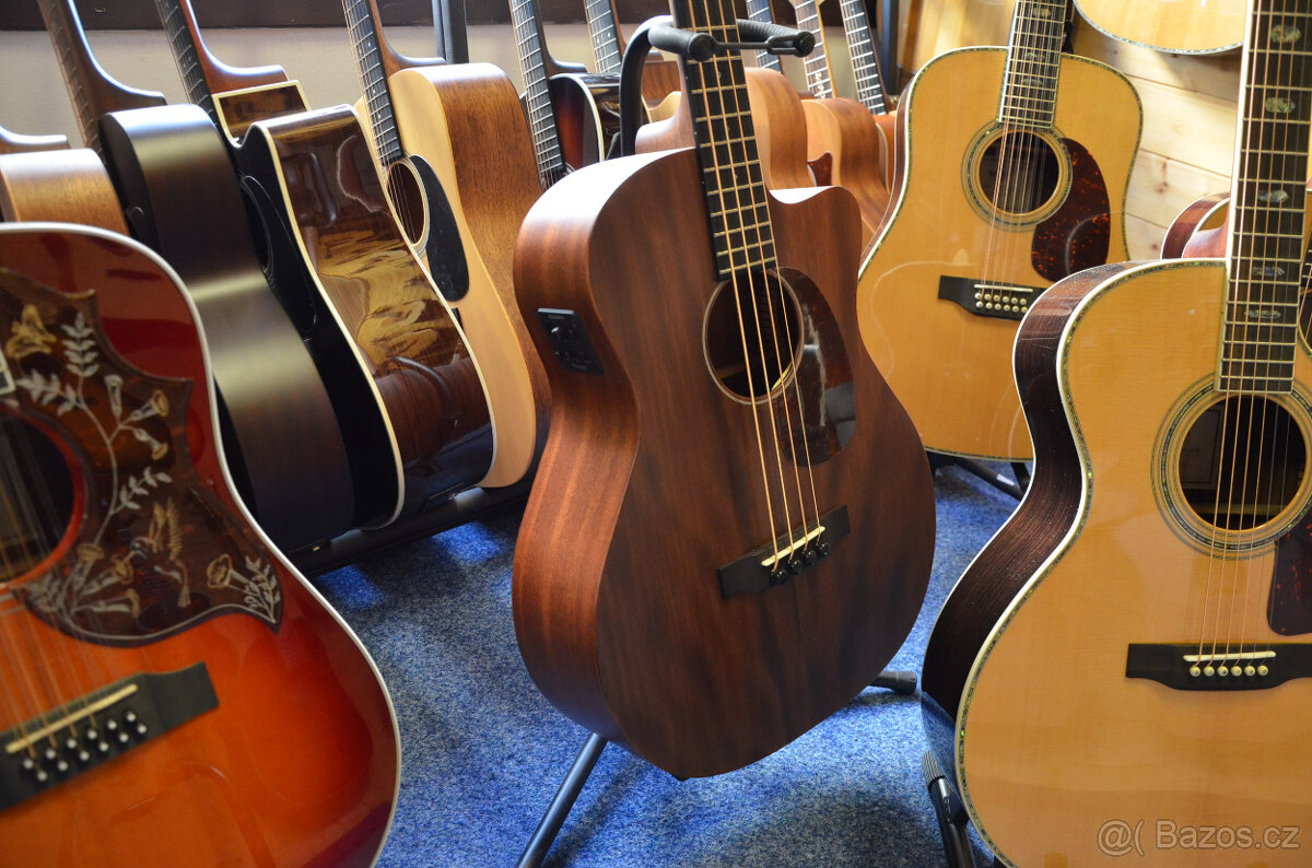 AKUSTICKÁ ČTYŘ - STRUNNÁ BASA Sigma Guitars BMC-15E PPP - 10