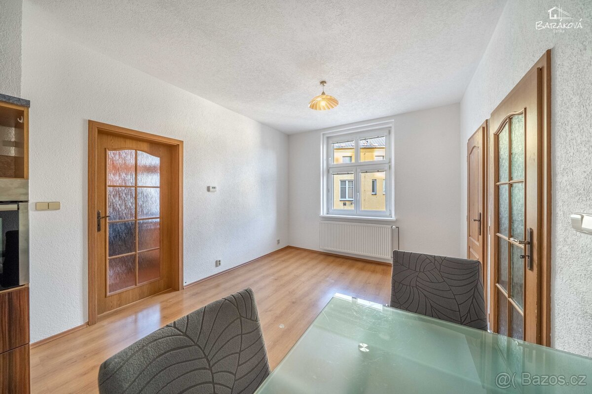 Pronájem bytu 2+kk 46 m², Plzeň - Jižní Předměstí - 10