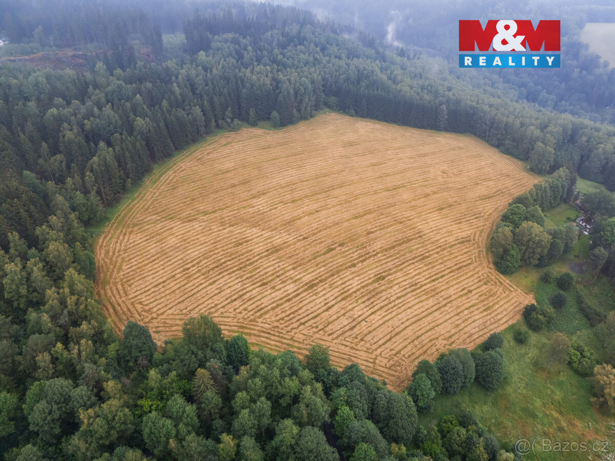 Prodej pozemky- ostatní, 82414 m², Aš-Vernéřov - 10