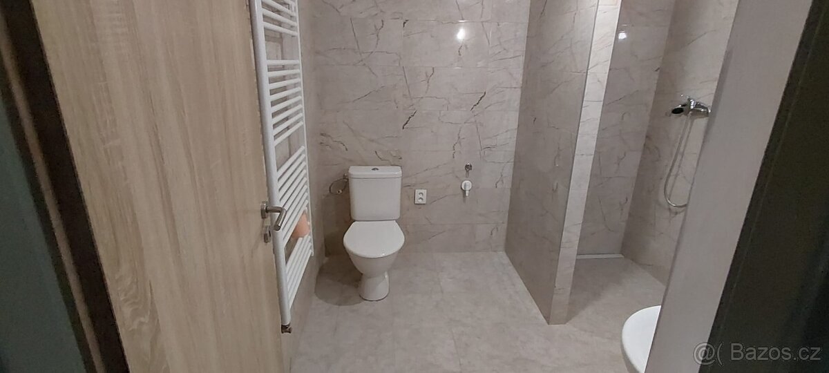 Pronájem bytu 2+1 Miletín - 10