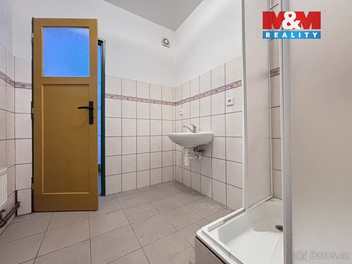 Pronájem výrobních skladů v Česticích - 10