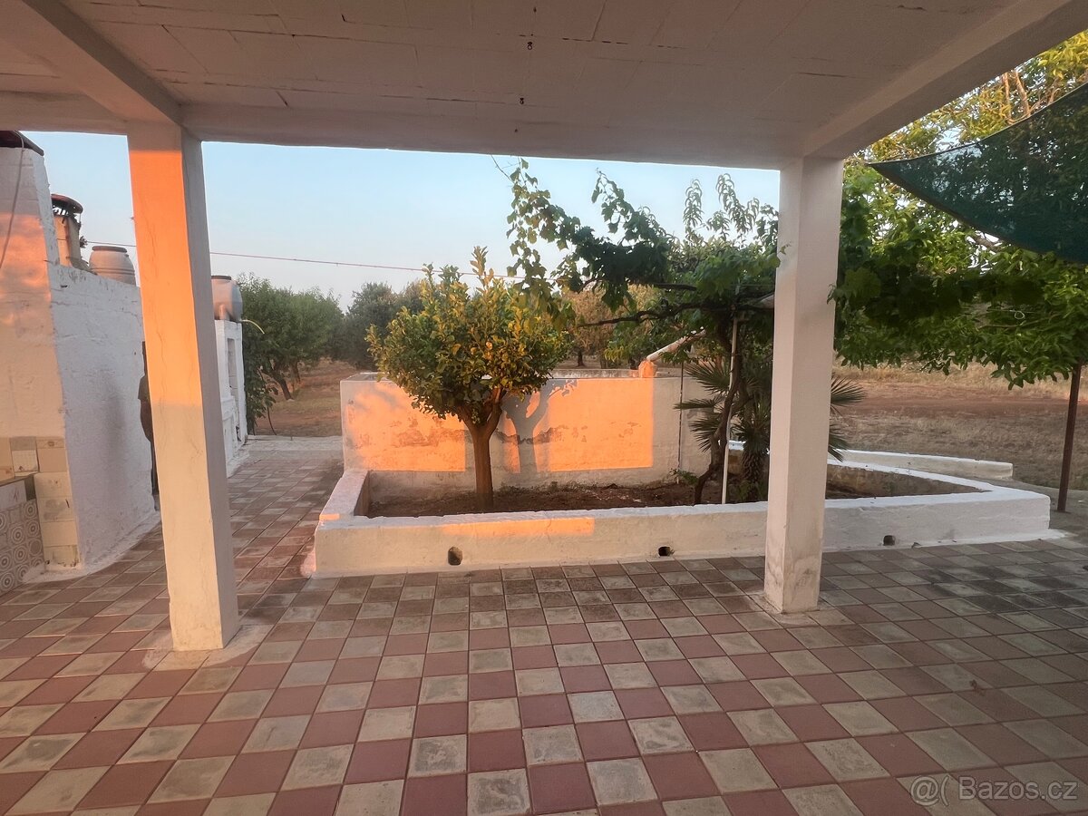 Vila 10 minut od moře Apůlie🇮🇹 - 10