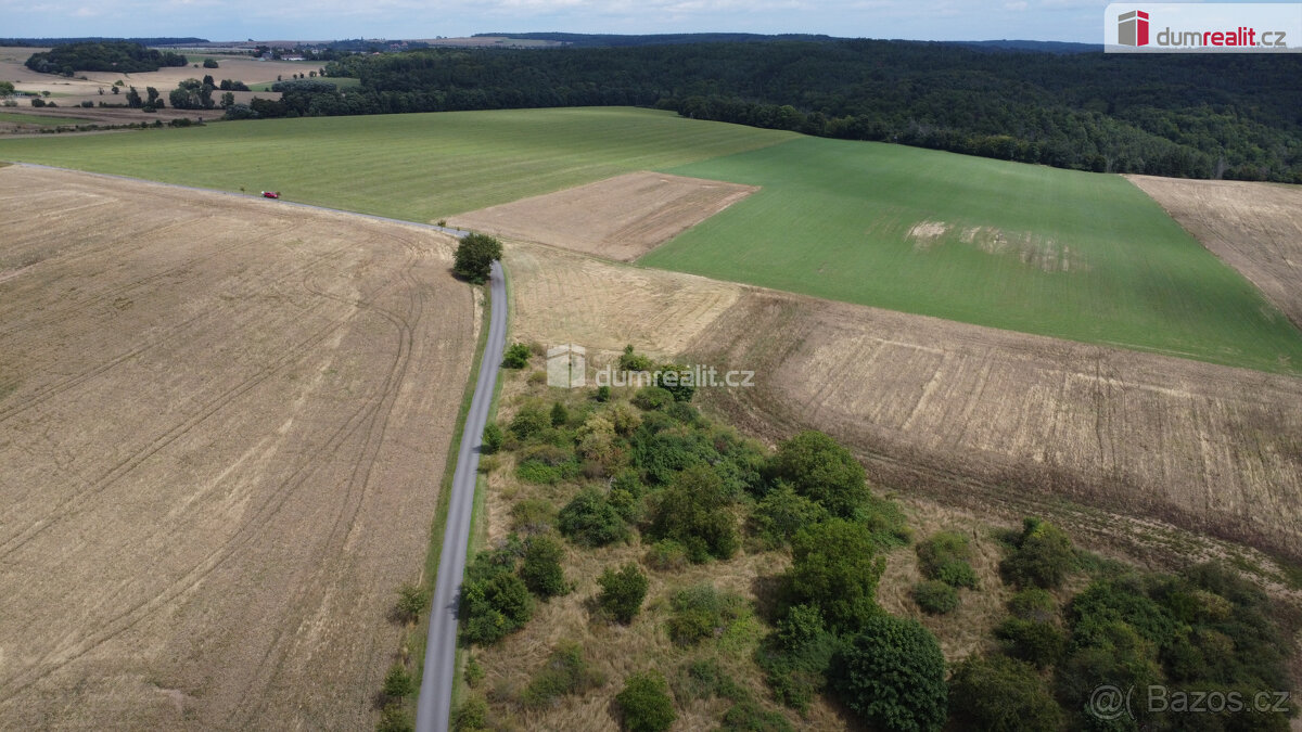 Prodej pozemku 3943 m2, Sýkořice - 10