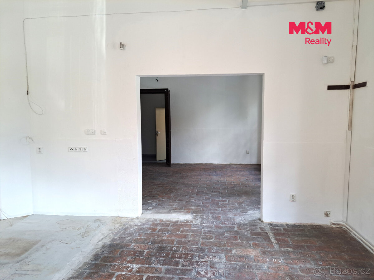 Pronájem obchodního prostoru, 221m2, ul. Riegrova, Brno - 10