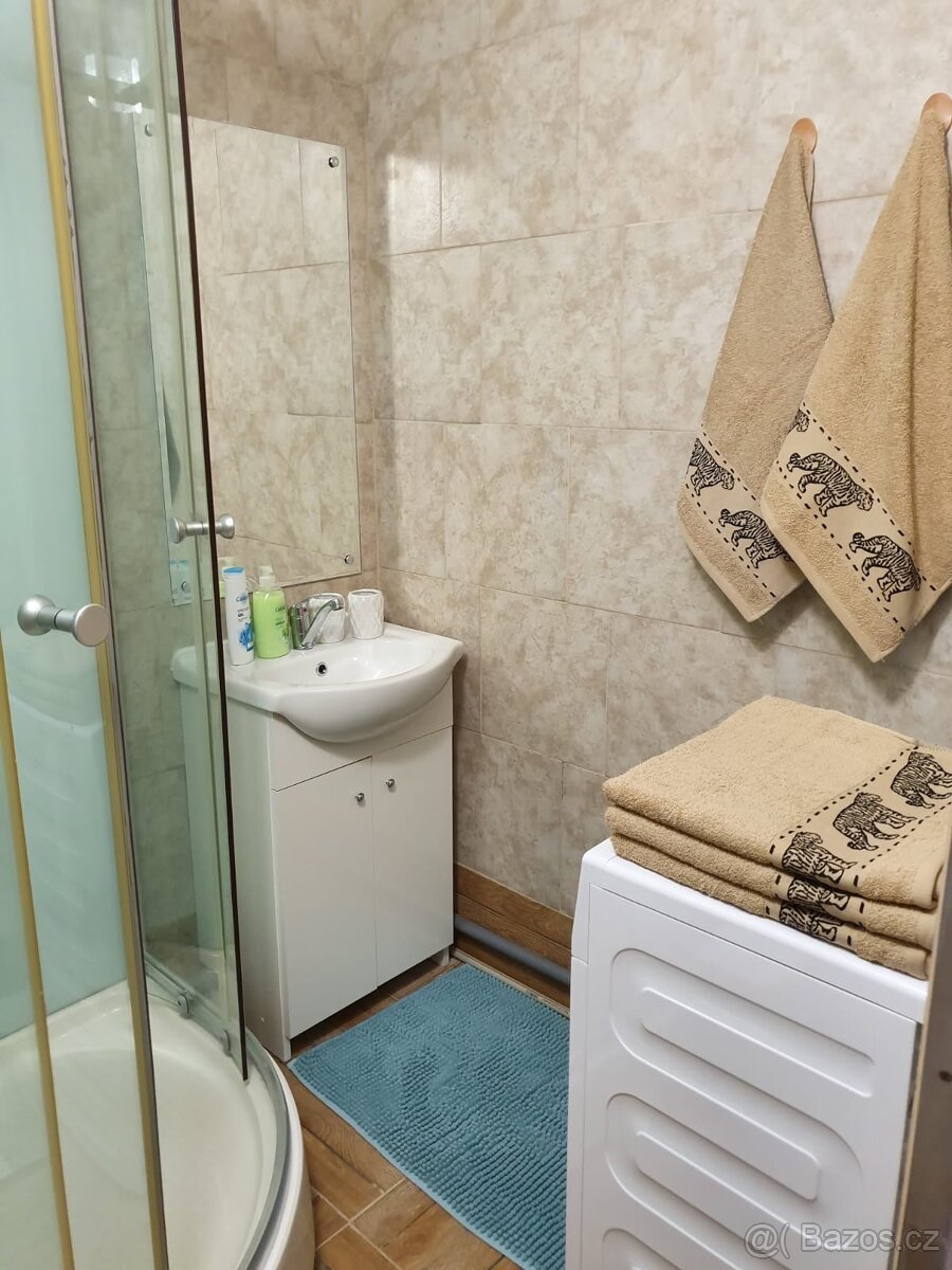 Pronájem bytu Teplice - 10