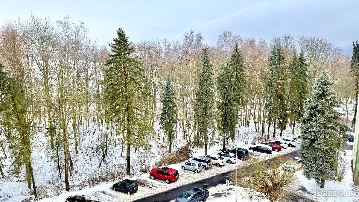 Pronájem bytu 3+1 Chodov - 10