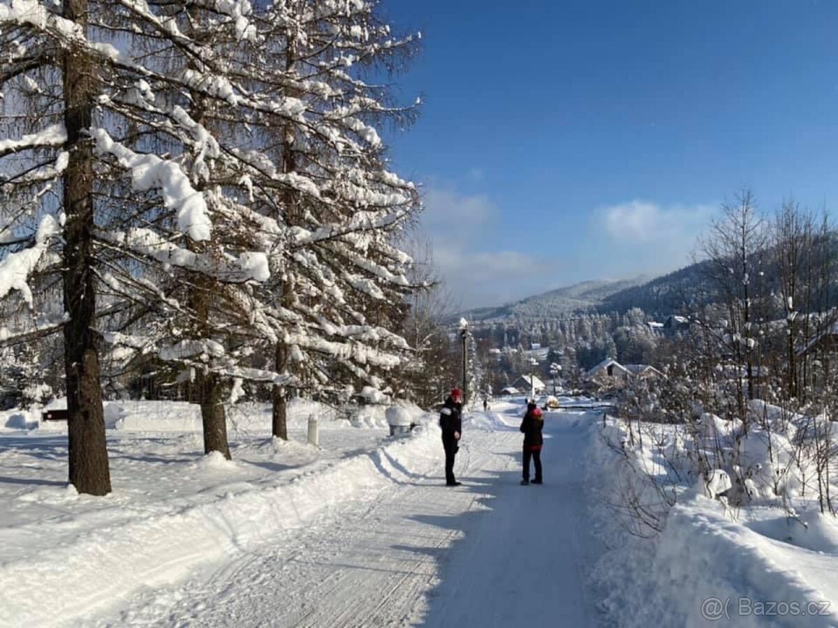 Ubytování v chatě BESKYDY - 10