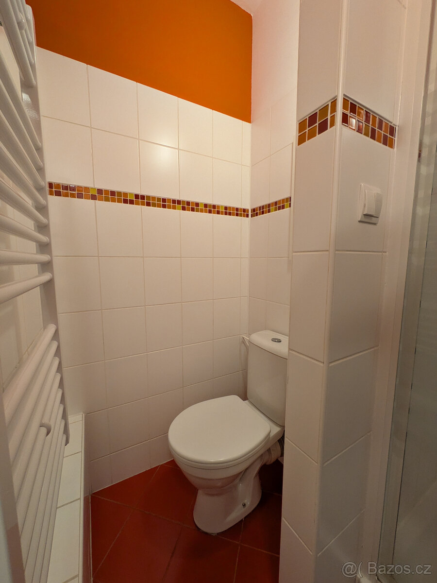 Byt 1+1 Ostrava-Poruba M. Krásové - 10