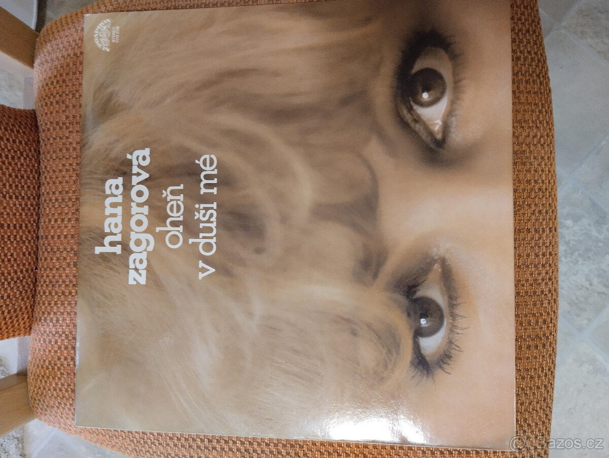 Gramofonové desky - Karel Gott a Hana Zagorová - 10