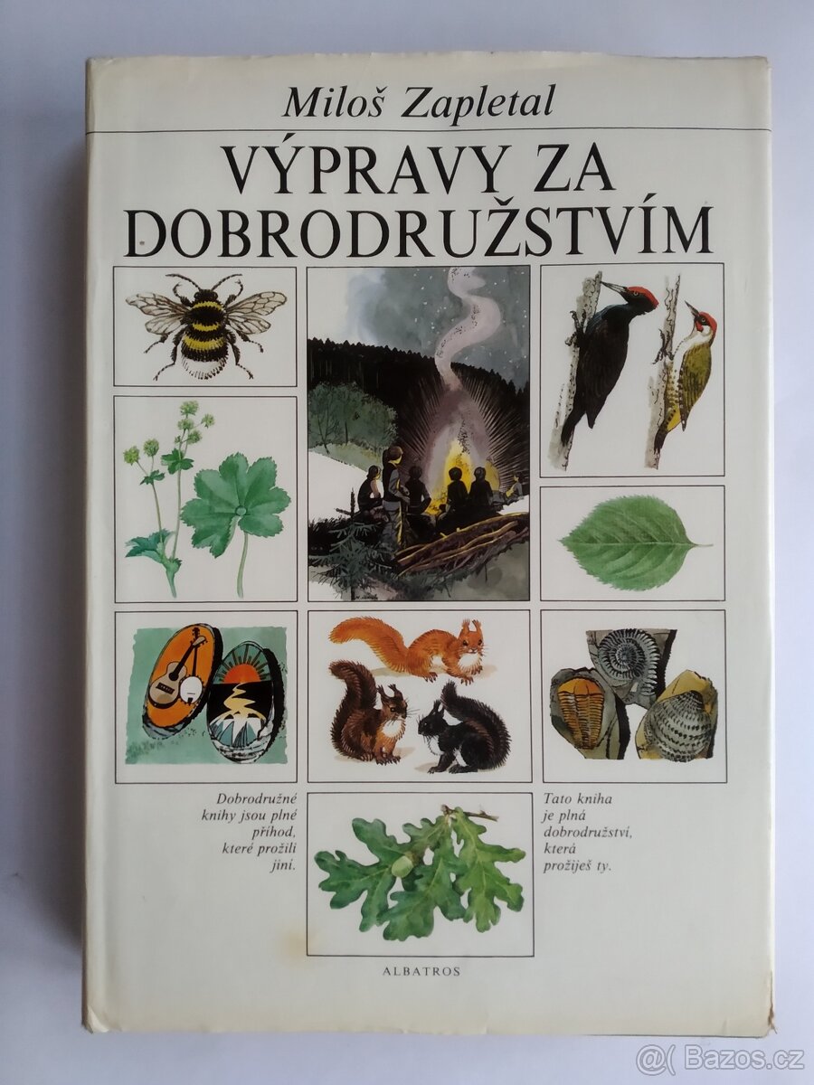 Foglarovky + skauting + Zapletal - 10