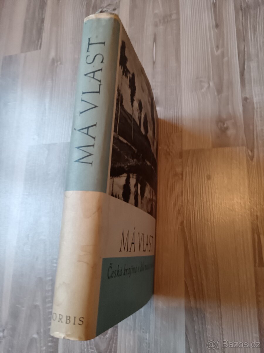 Masarykův slovník sada kompletní a jiné - 10